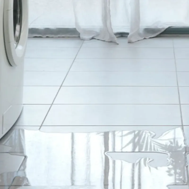 Appliance Leak Cleanup in Butler, AL