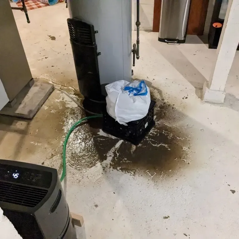 Sewage Backup Cleanup Service in Butler, AL